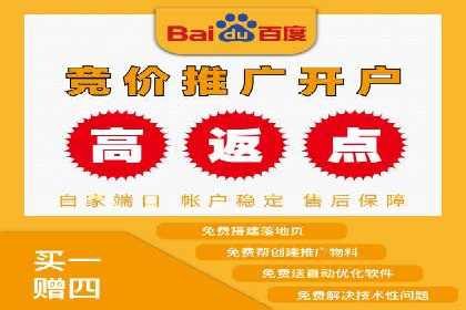 百度竞价公司案例分析：优化策略全解析